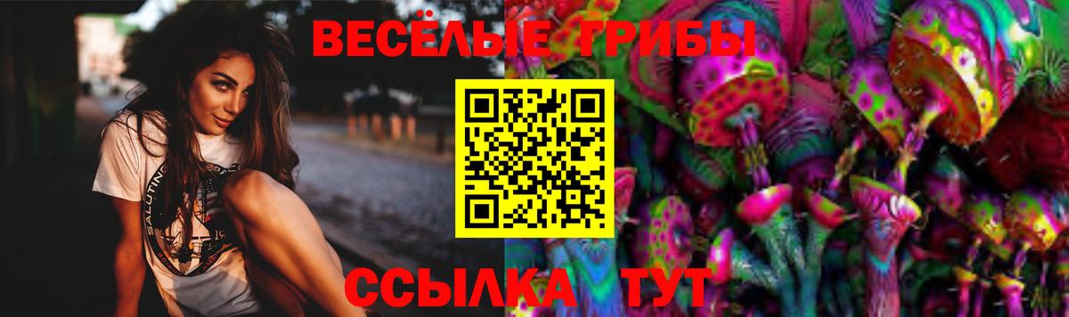 Псилоцибиновые грибы прущие грибы Тихорецк
